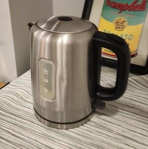Stainless Steel Electric Kettle with Black Handle